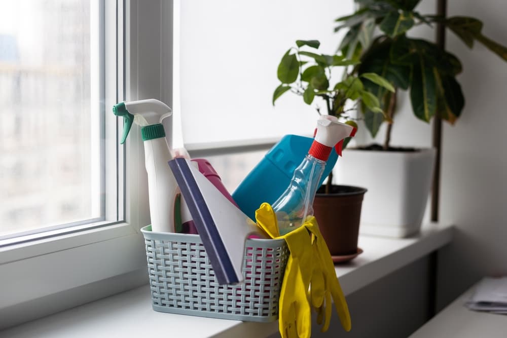 What cleaning supplies does every house need