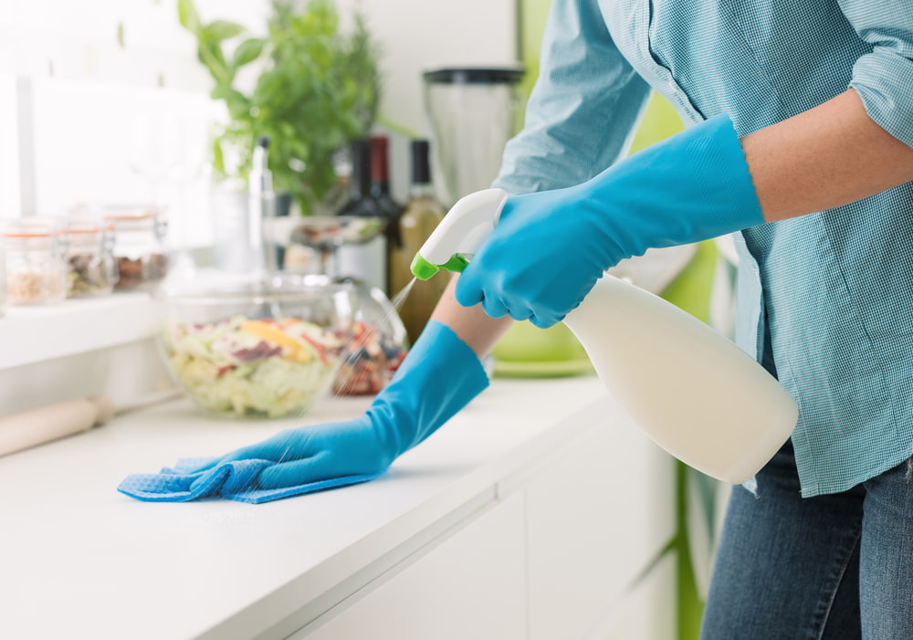 professional maid services in sewall's point